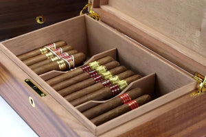Travel Essentials | Cigar Travel Guide