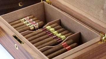 Travel Essentials | Cigar Travel Guide