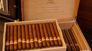 What is the purpose of the fir chips in the humidor?