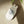 Load image into Gallery viewer, Cigar Hygrometer Guitar Portable Bluetooth Thermohygrometer Indoor Home Thermometer