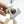 Load image into Gallery viewer, Cigar Scissors 5041