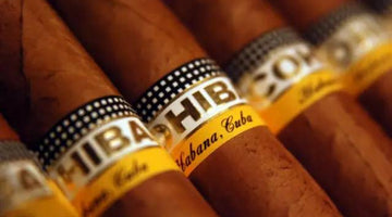 The Advanced Cigar Connoisseur's Guide