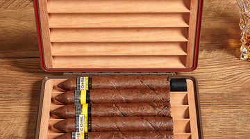 Relation of Antique Cuban Humidors and Spanish Fir